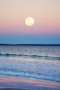 How the full moon affects your appetite