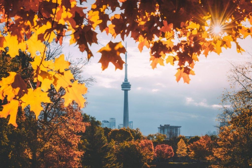 Autumn Getaway in Toronto