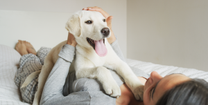 How To Prep Your Home For a New Dog