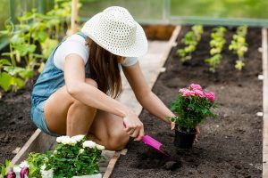 Gardening Tips For Absolute Beginners