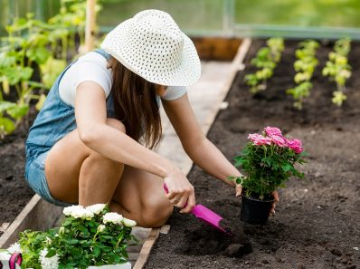 Gardening Tips For Absolute Beginners