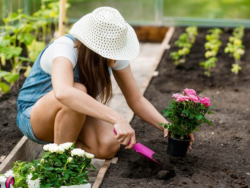 Gardening Tips For Absolute Beginners