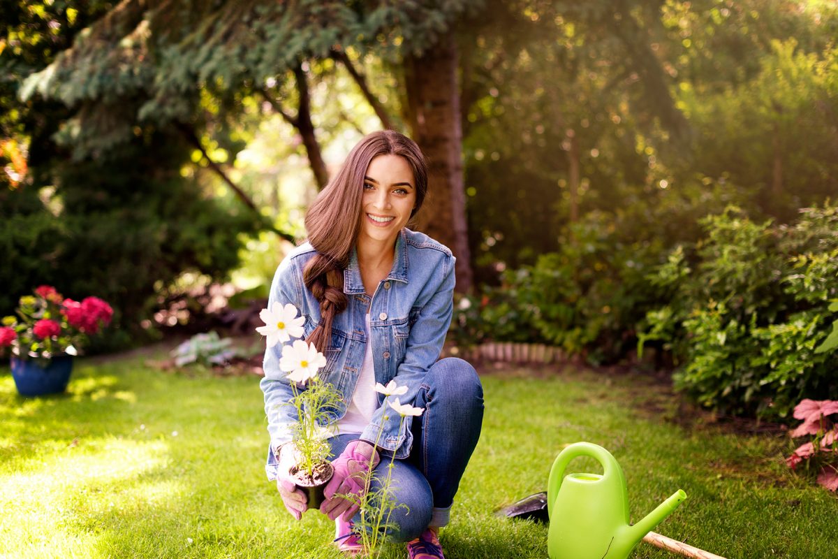 Gardening Tips For Absolute Beginners - Ravish Magazine