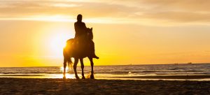 Horseback Riding