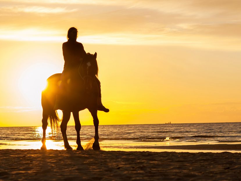 Horseback Riding