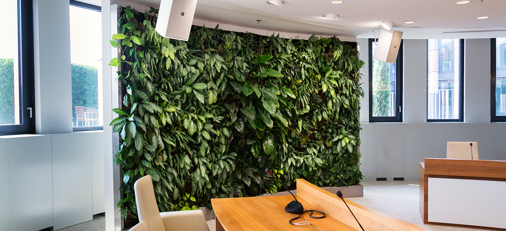 Bringing the outdoors in: How to use a living wall to connect your ...