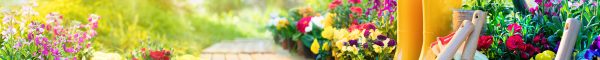 Make The Most Of Your Garden