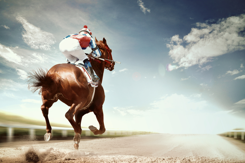 Horse Racing Betting Exchange