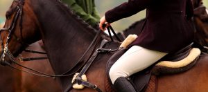 horse riding jodhpurs