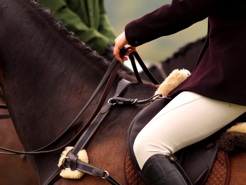 horse riding jodhpurs