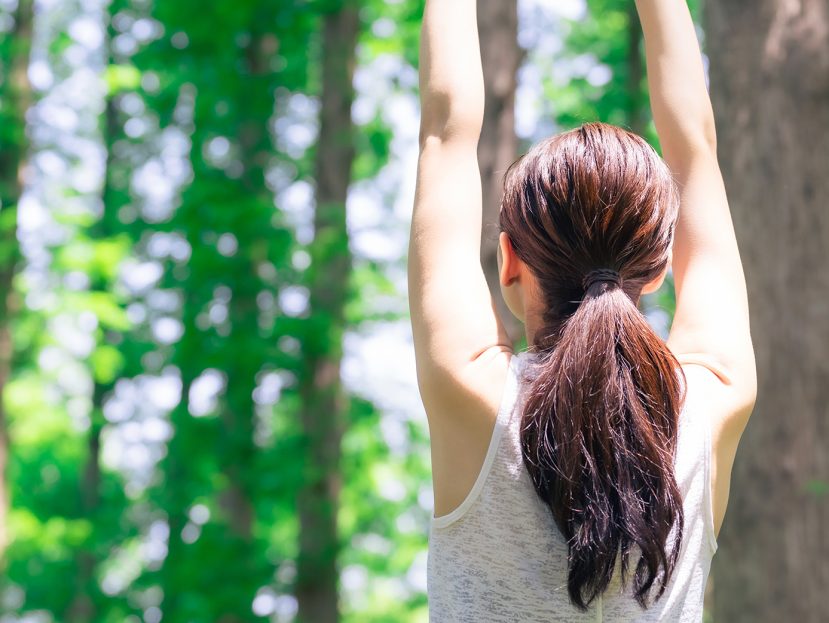 forest bathing