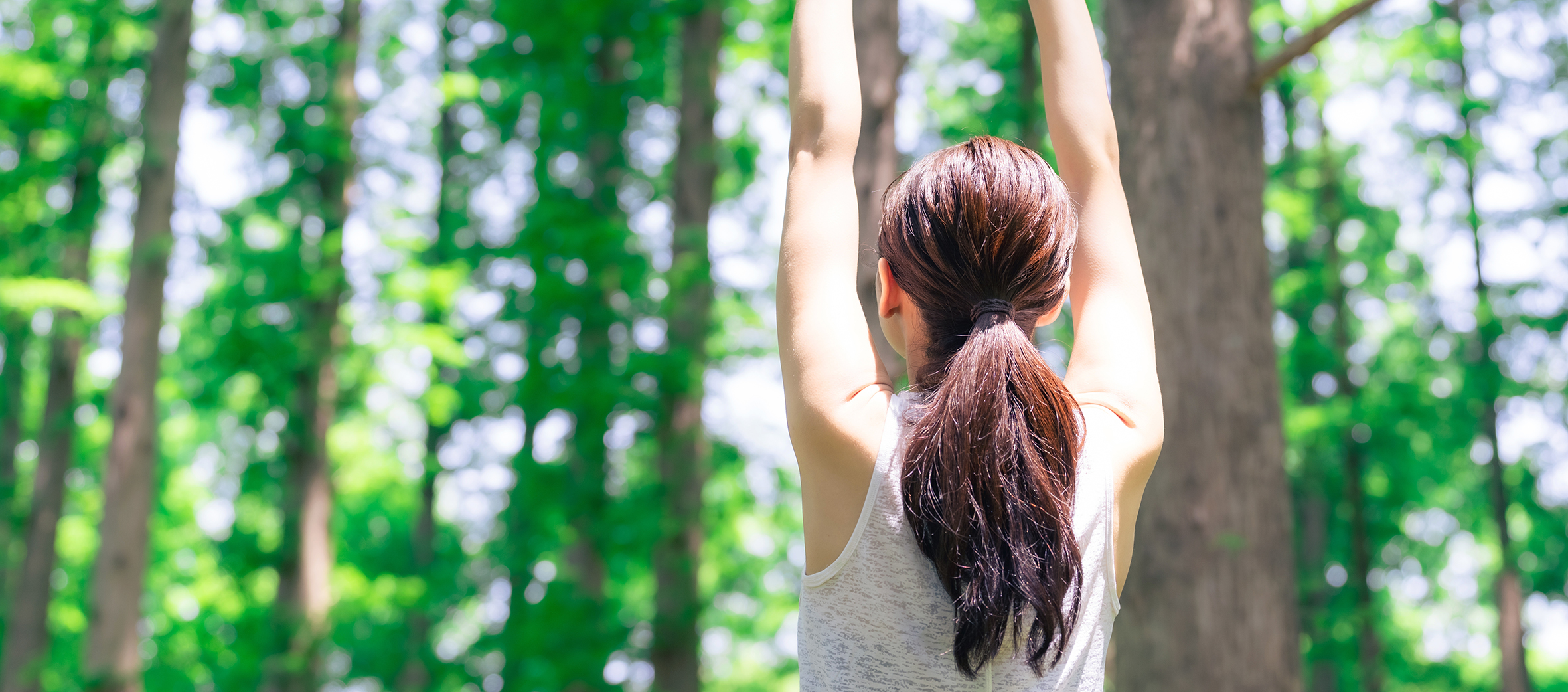 Sleep experts share the benefits of forest bathing this springtime ...