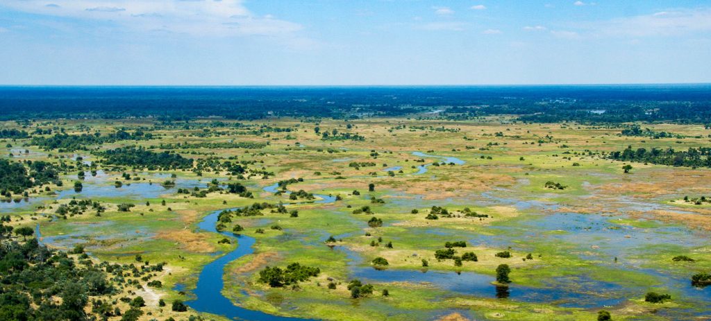 Experience a truly remarkable time of the year as the Green Season springs into life at Desert & Delta Safaris, a leading luxury safari operator in Botswana