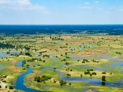 Experience a truly remarkable time of the year as the Green Season springs into life at Desert & Delta Safaris, a leading luxury safari operator in Botswana