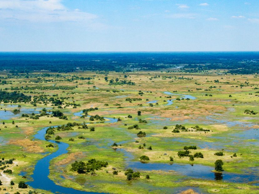 Experience a truly remarkable time of the year as the Green Season springs into life at Desert & Delta Safaris, a leading luxury safari operator in Botswana