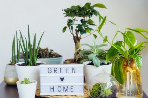 Eco-Friendly home