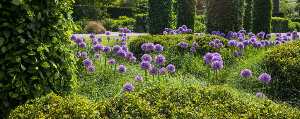 5 Summer U.S. Gardens