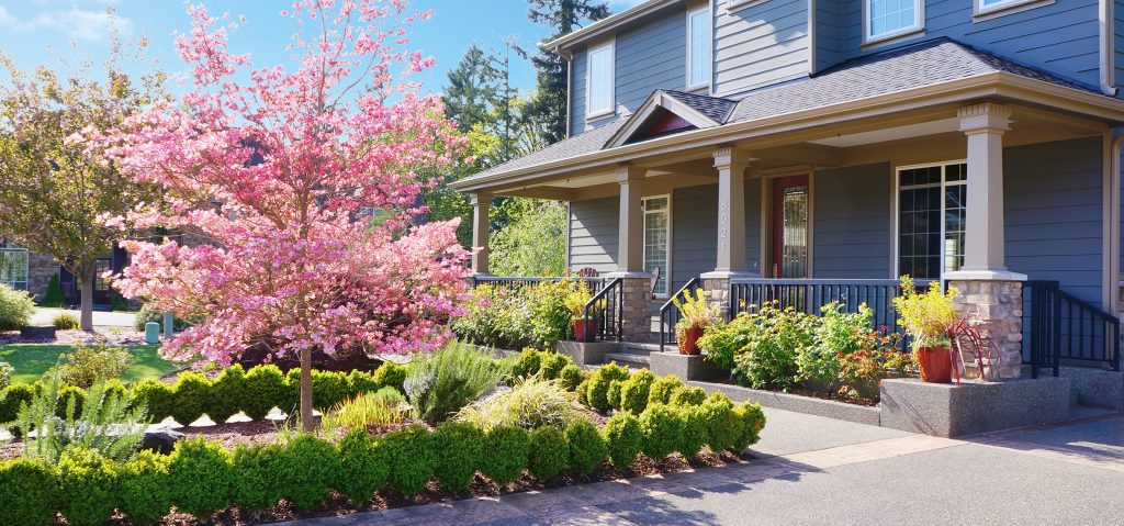 curb appeal