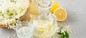 elderflower recipes