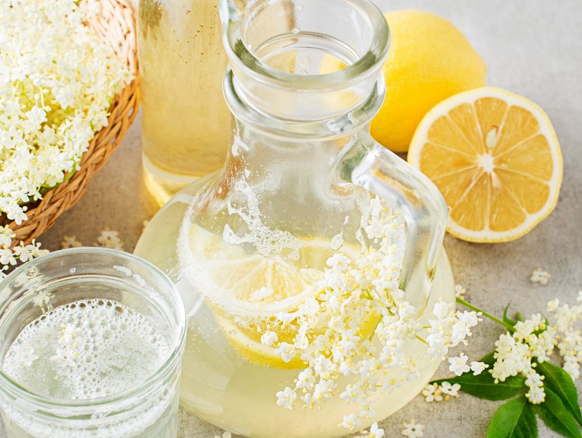 elderflower recipes