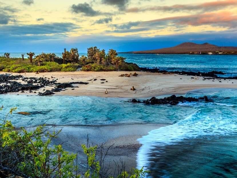 Galápagos Islands