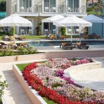 Ibiza Gran Hotel Welcomes Novikov, Elevating the Island’s Dining Scene