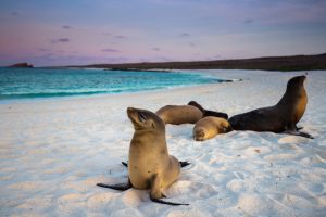 Galapagos Islands