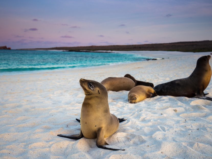 Galapagos Islands