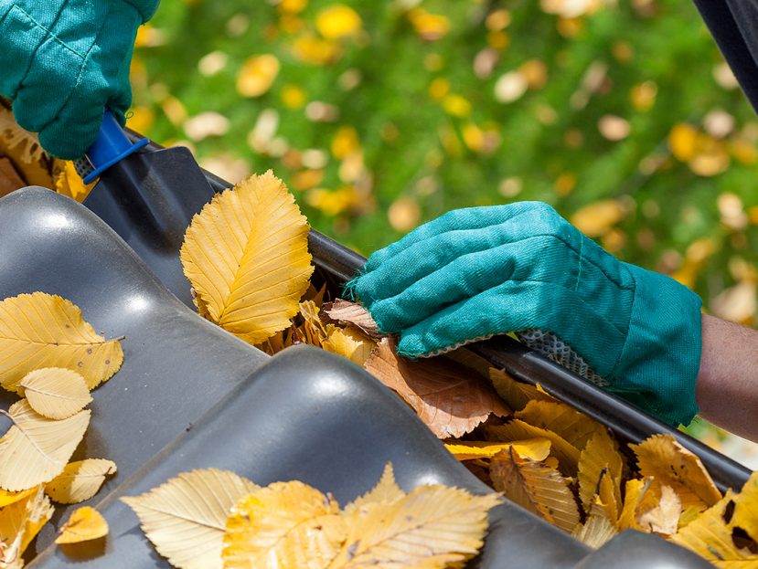 when to clean your gutters