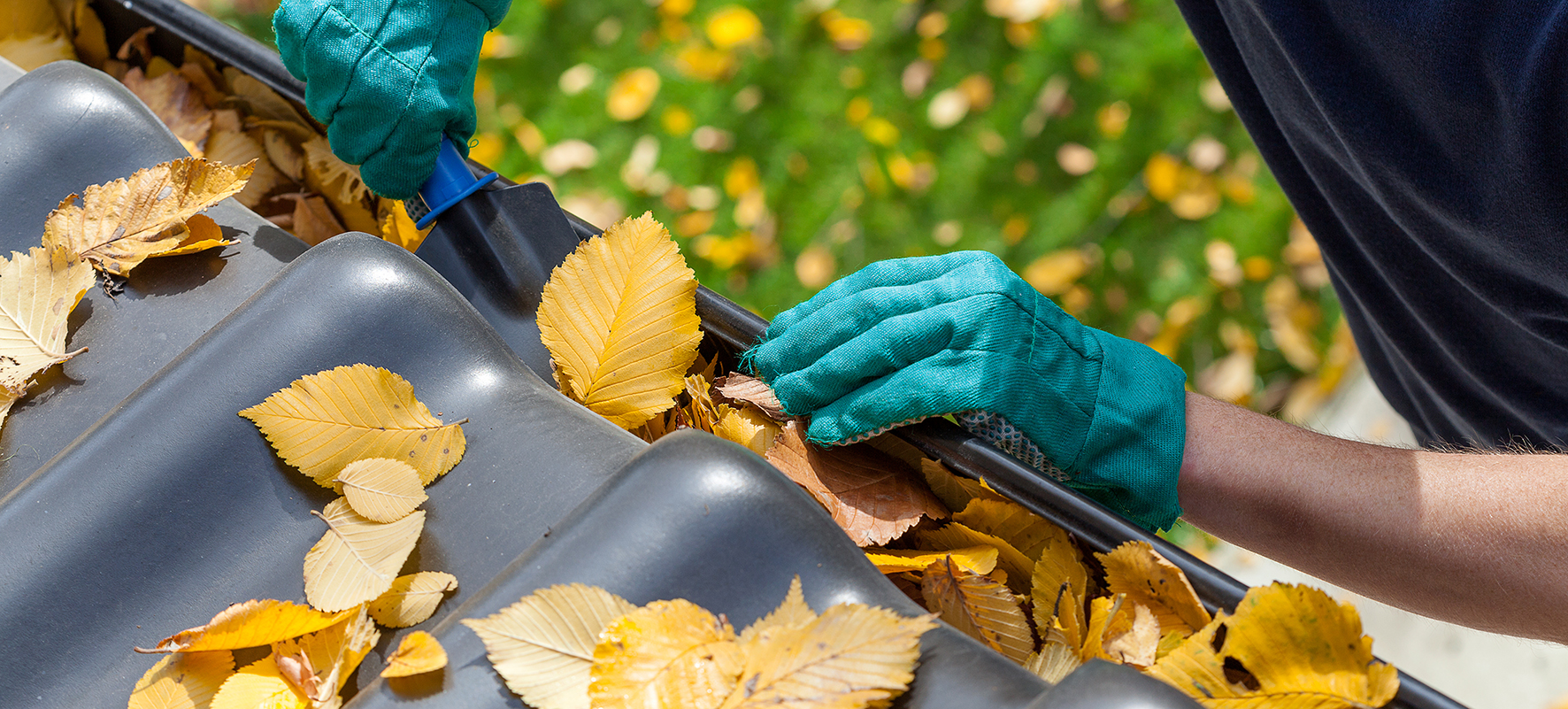 when to clean your gutters