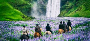 Horse Riding Holiday