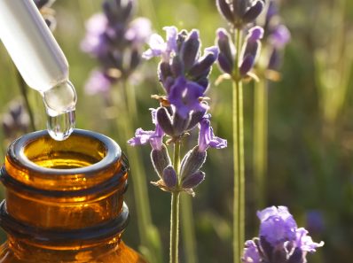 Lavender Oil For Anxiety
