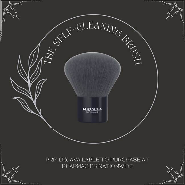self-cleaning make up brush