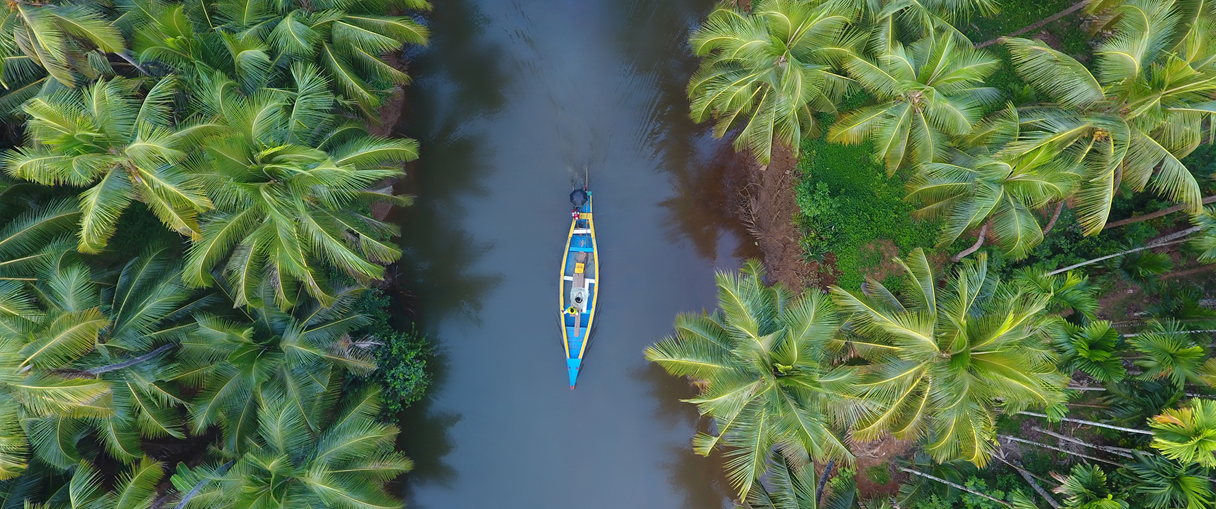 exploring kerala