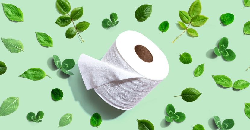 Eco-Friendly toilet roll