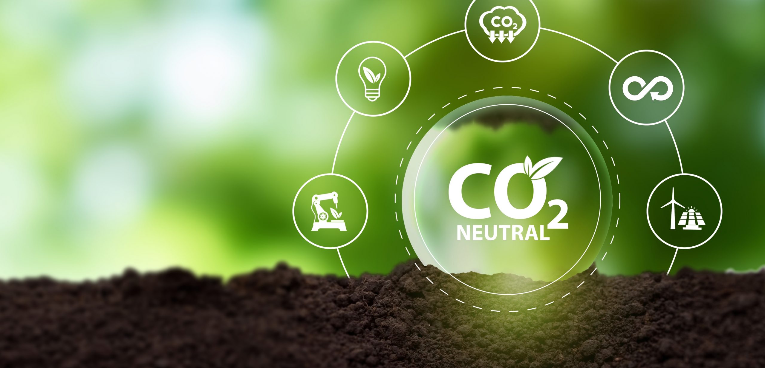 Carbon Neutrality