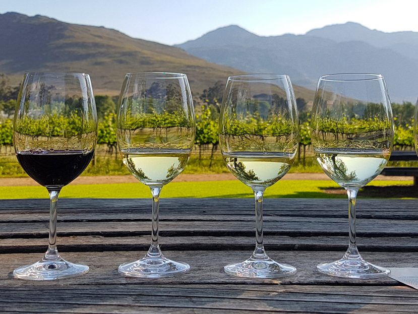 A Culinary Tour of South Africa's Winelands 