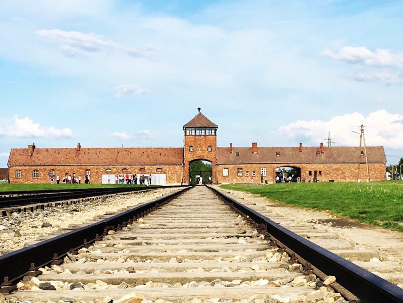 Auschwitz and a Salt Mine Tour