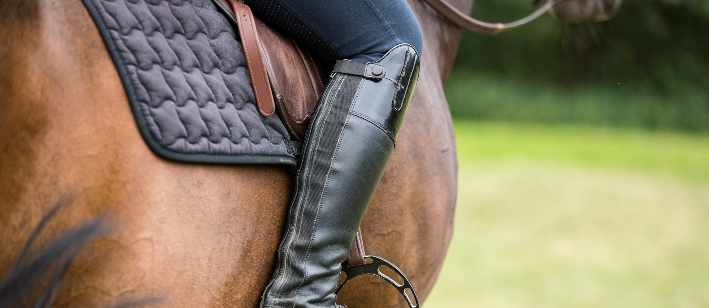 Best Horse Riding Boots