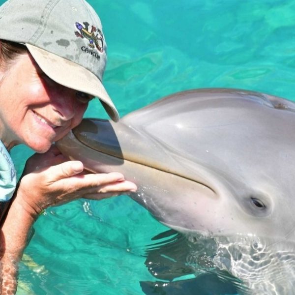 Dive into Paradise: Experience the Ultimate All-Inclusive Tour in Isla Mujeres with Dolphin Discovery