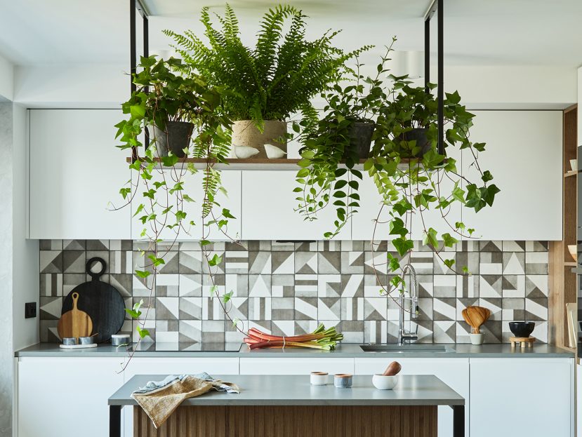plants for your kitchen