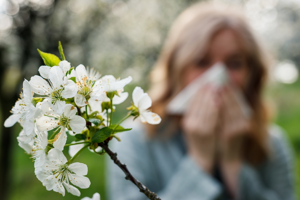 hay fever myths