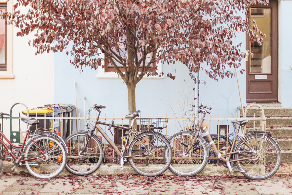 cycling in Bremen