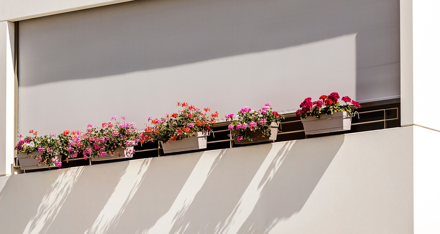 Outdoor Roller Blinds