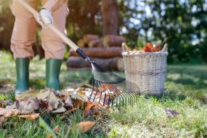 garden jobs for september