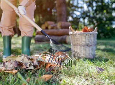 garden jobs for september