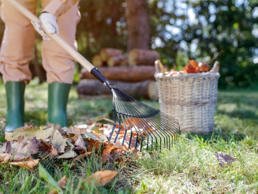 garden jobs for september