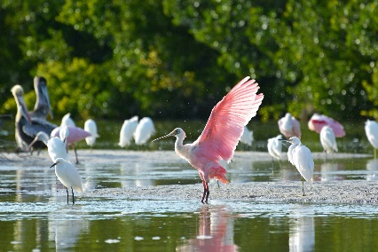 Fort Myers holiday