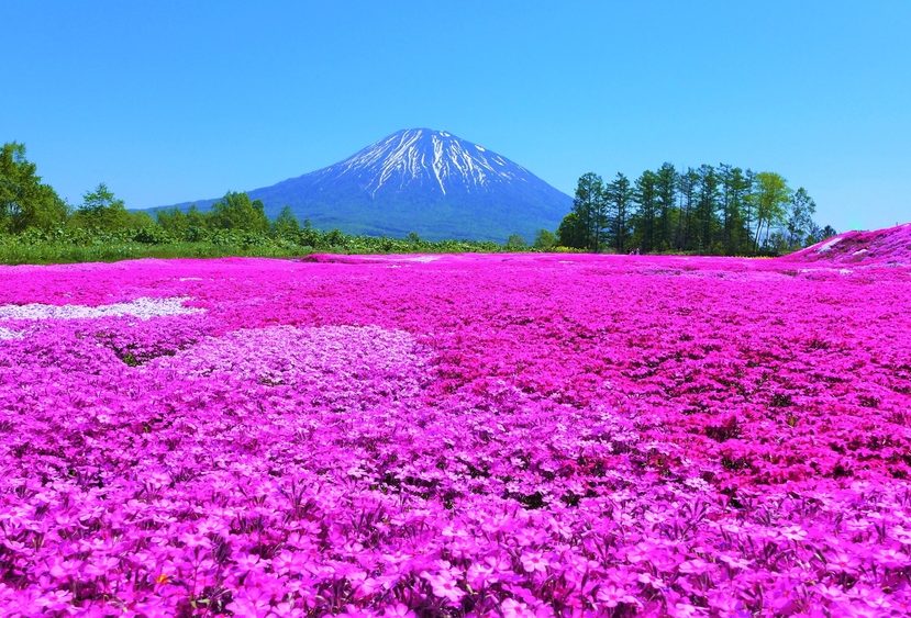 Niseko japan