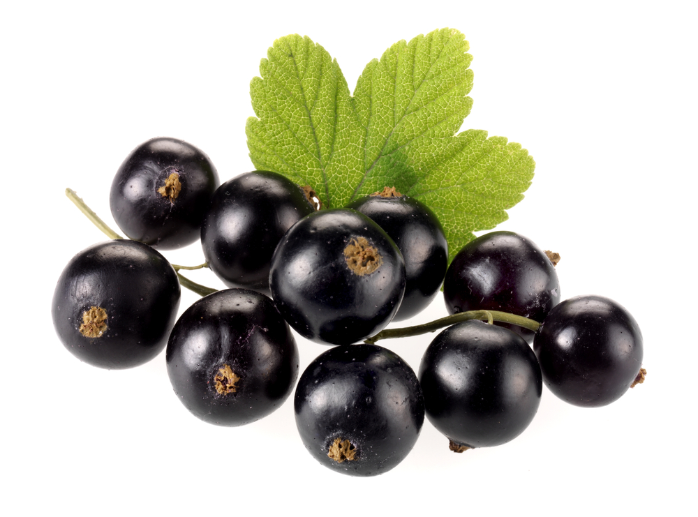 Health Benefits of Blackcurrants